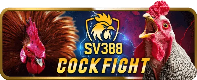 Chơi công bằng VVWIN